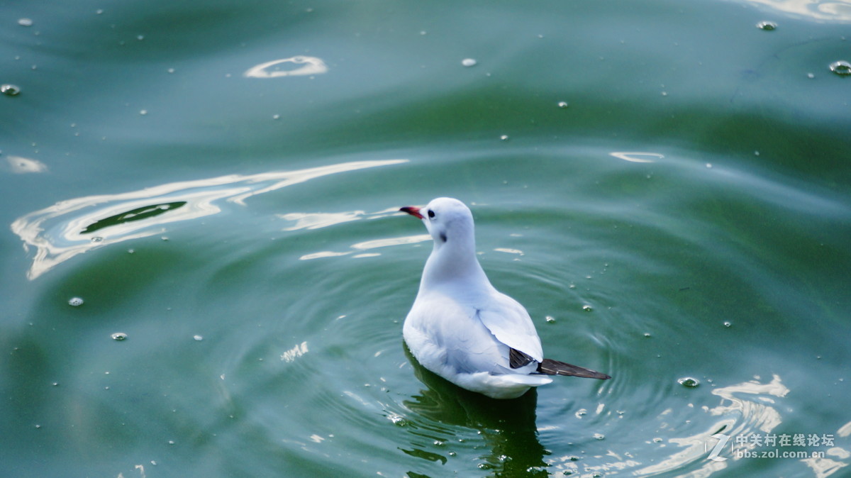 发点平时5R拍的片子~~