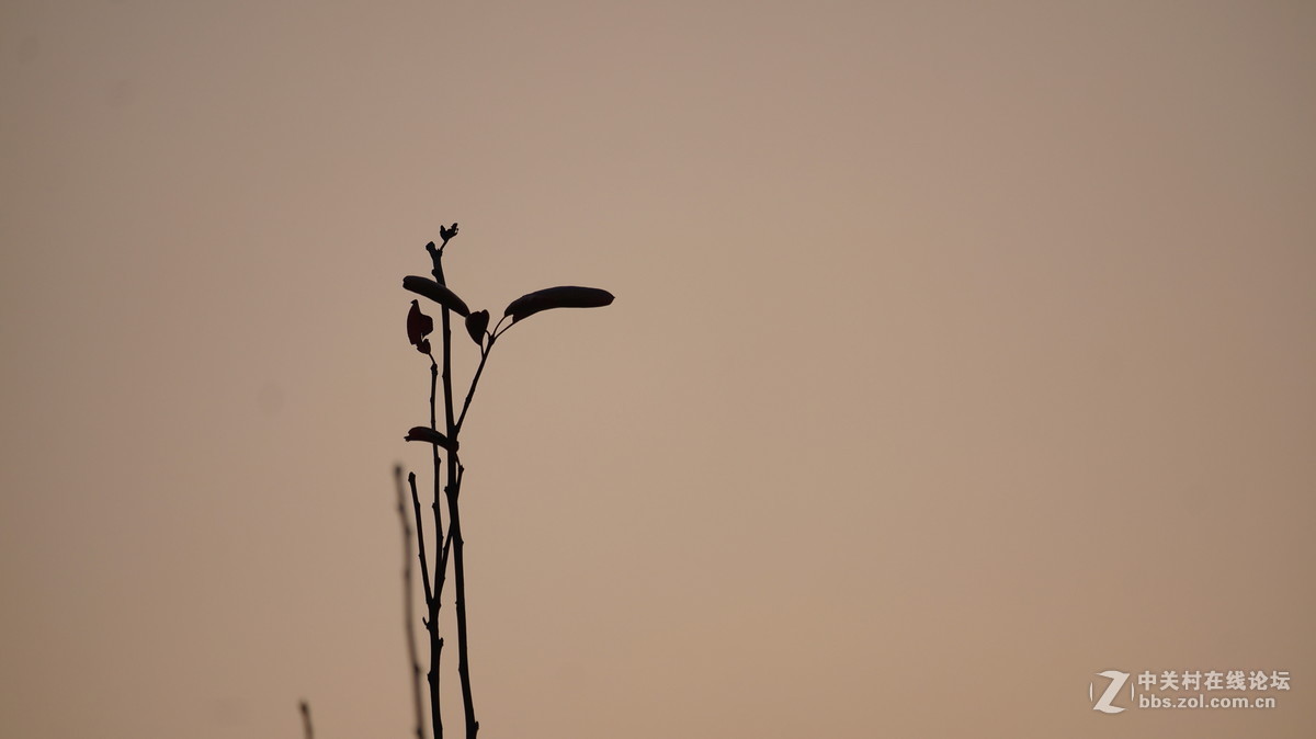 发点平时5R拍的片子~~