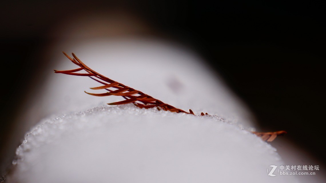 发点平时5R拍的片子~~