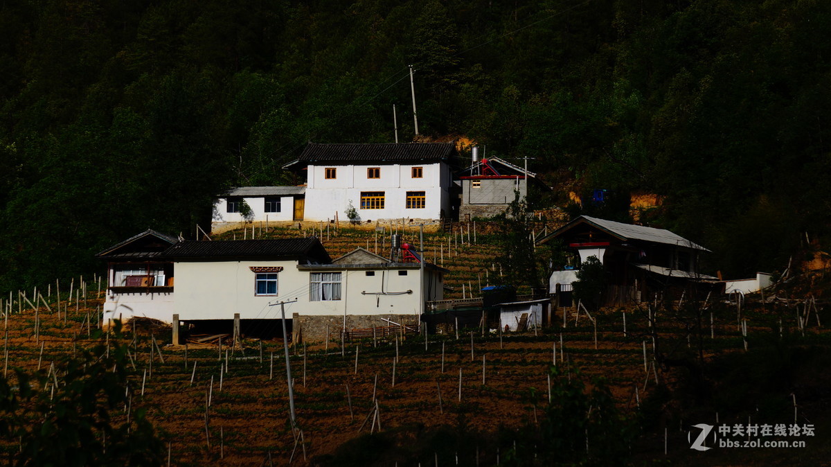 发点平时5R拍的片子~~