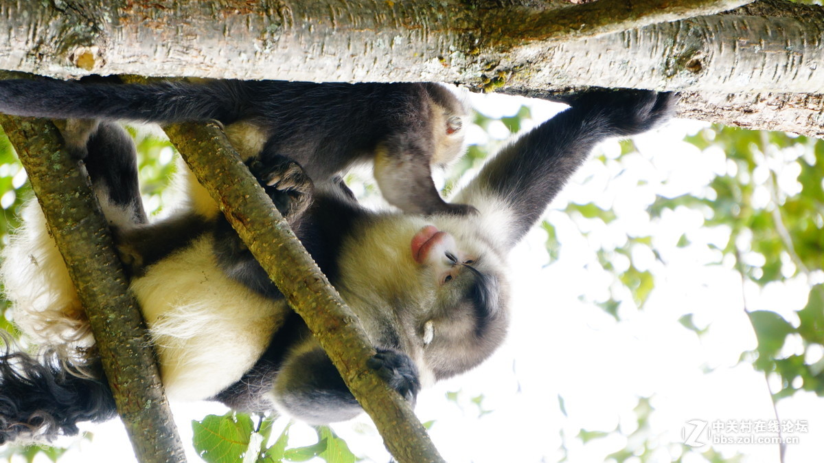 发点平时5R拍的片子~~