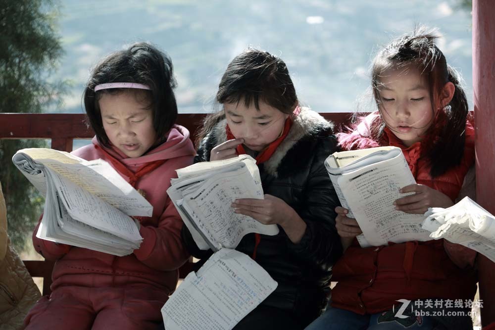 套头拍一群读书的小学生-中关村在线摄影论坛