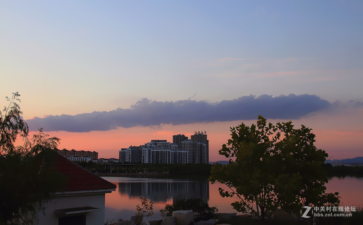 素颜淡抹俏入妆，清风阵阵心神旷【闲摄身边景】