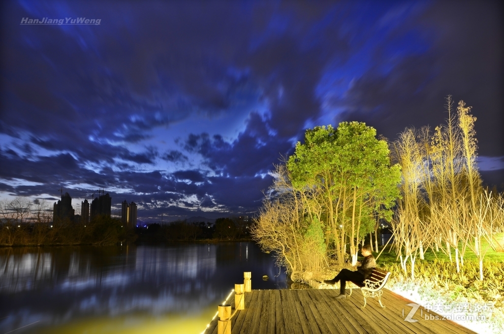 长广溪湿地公园夜景图片