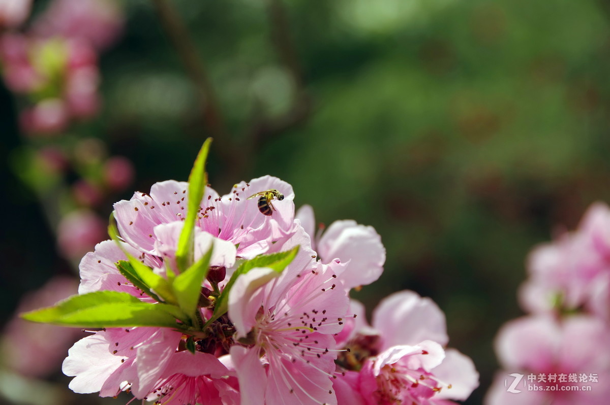 关于16-85头的一点困惑