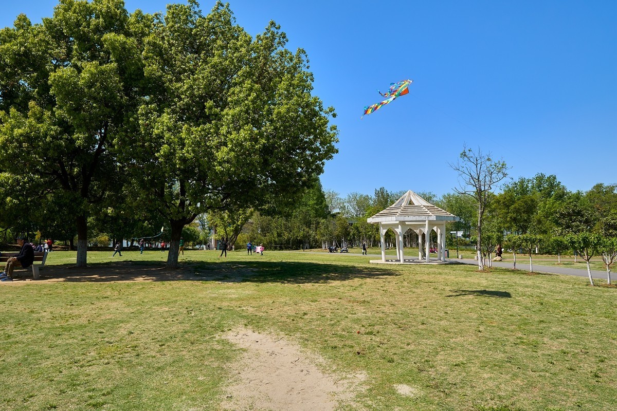 南京情侣园随拍