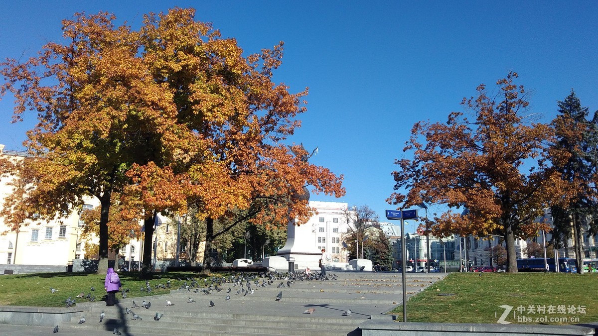 Nexus6对比坚果手机(原图直出)