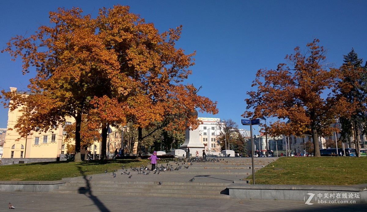 Nexus6对比坚果手机(原图直出)