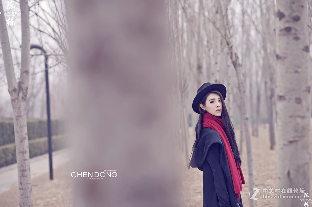 晚冬的白桦林 摄影师