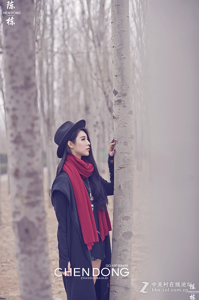 晚冬的白桦林 摄影师