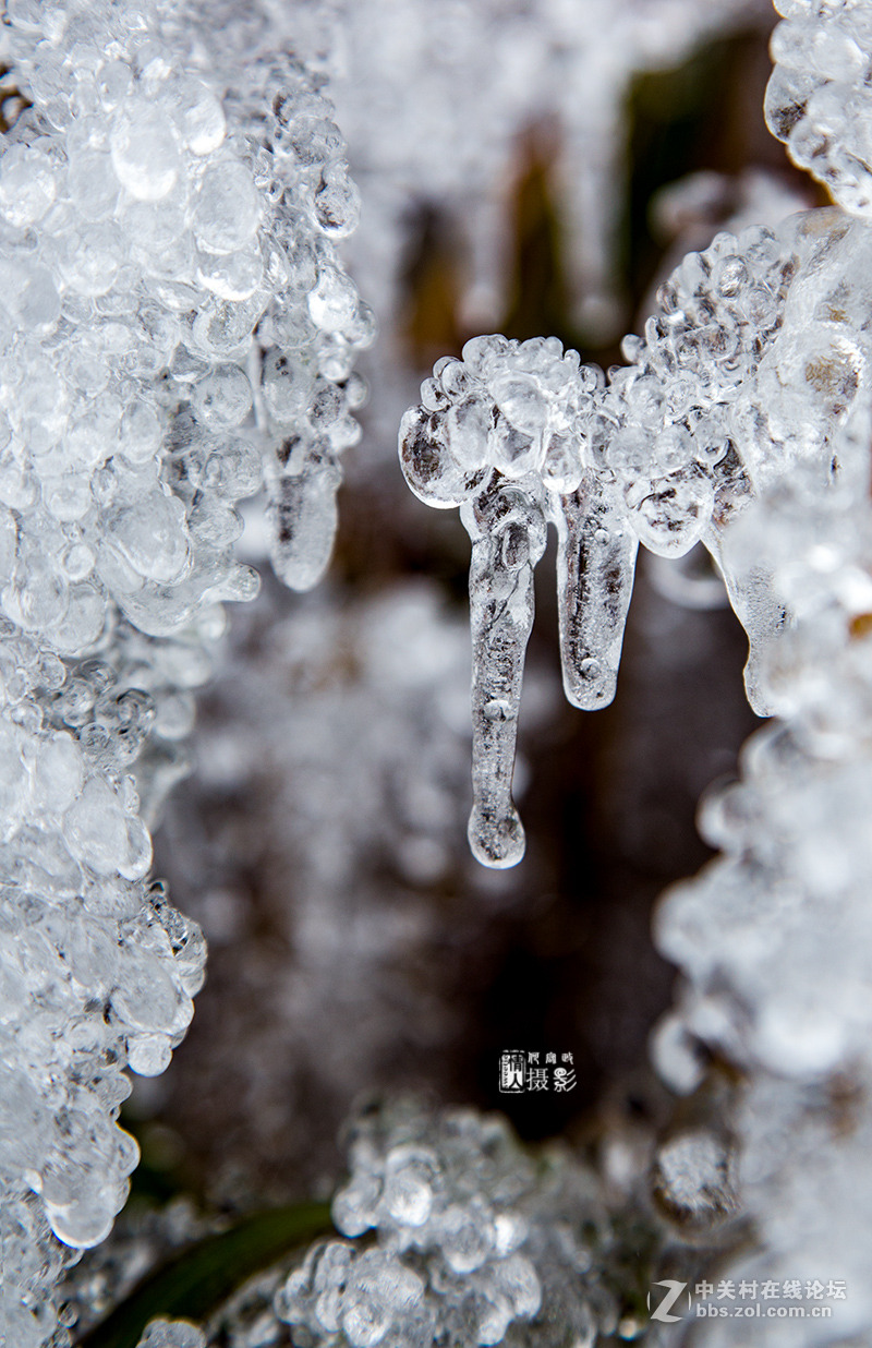 冰天雪地