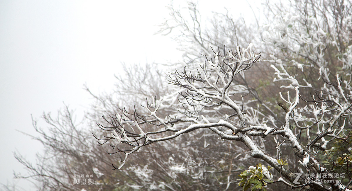 冰天雪地
