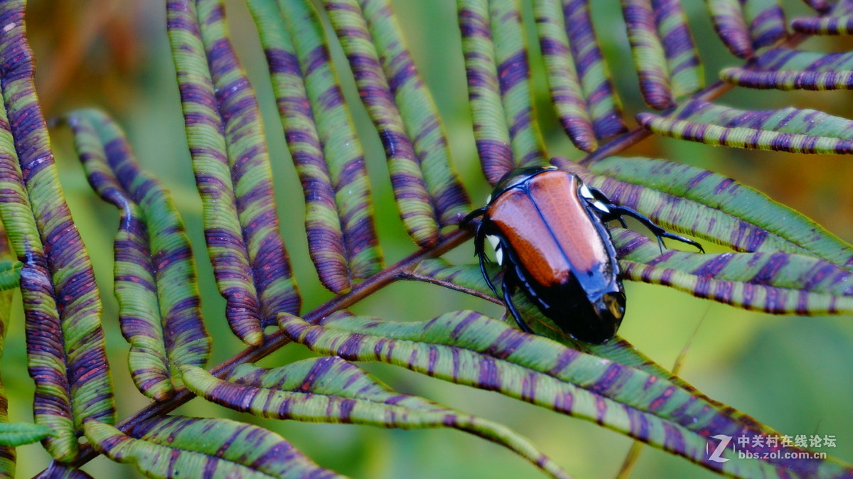 发点平时5R拍的片子~~
