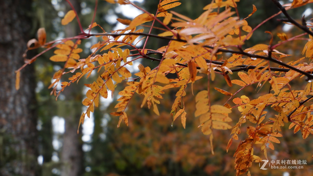 发点平时5R拍的片子~~