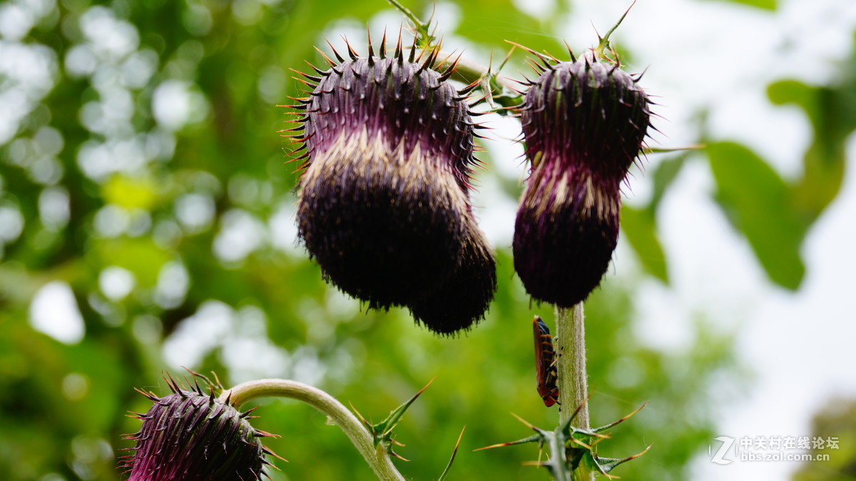 发点平时5R拍的片子~~