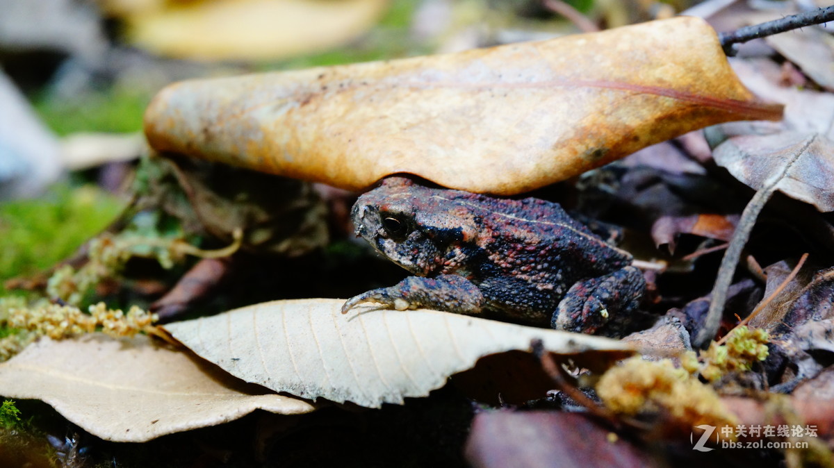 发点平时5R拍的片子~~