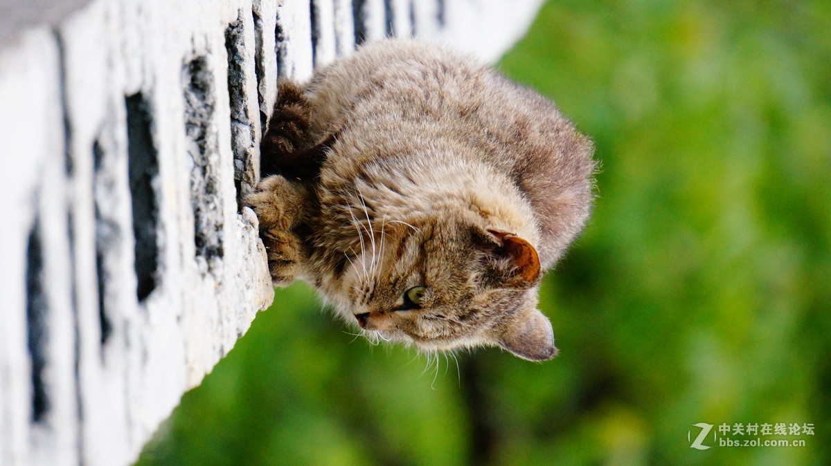 发点平时5R拍的片子~~