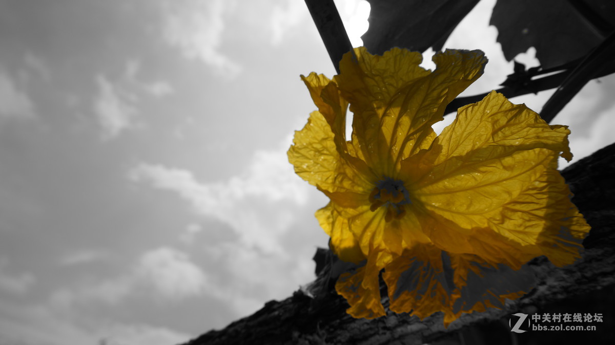 发点平时5R拍的片子~~