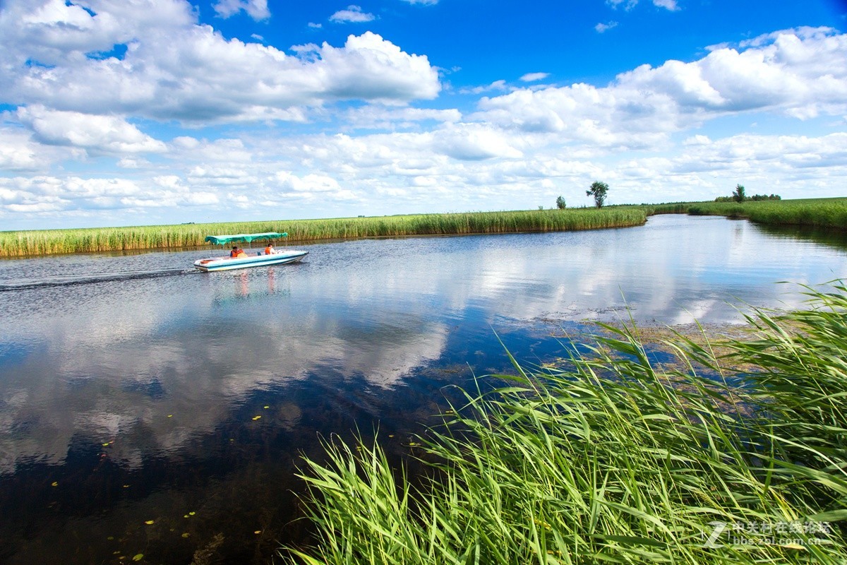 扎龙湿地