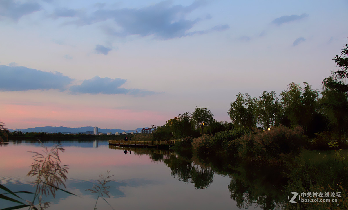素颜淡抹俏入妆，清风阵阵心神旷【闲摄身边景】