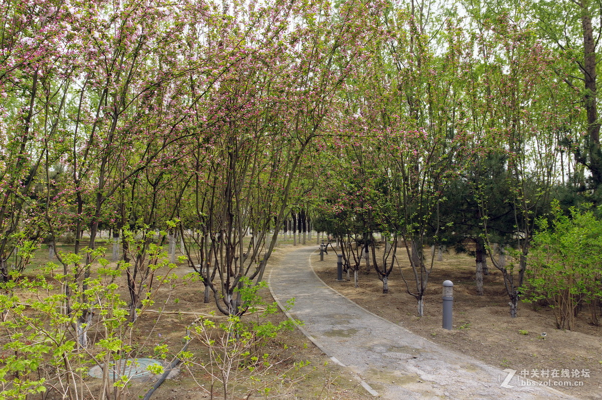 关于16-85头的一点困惑