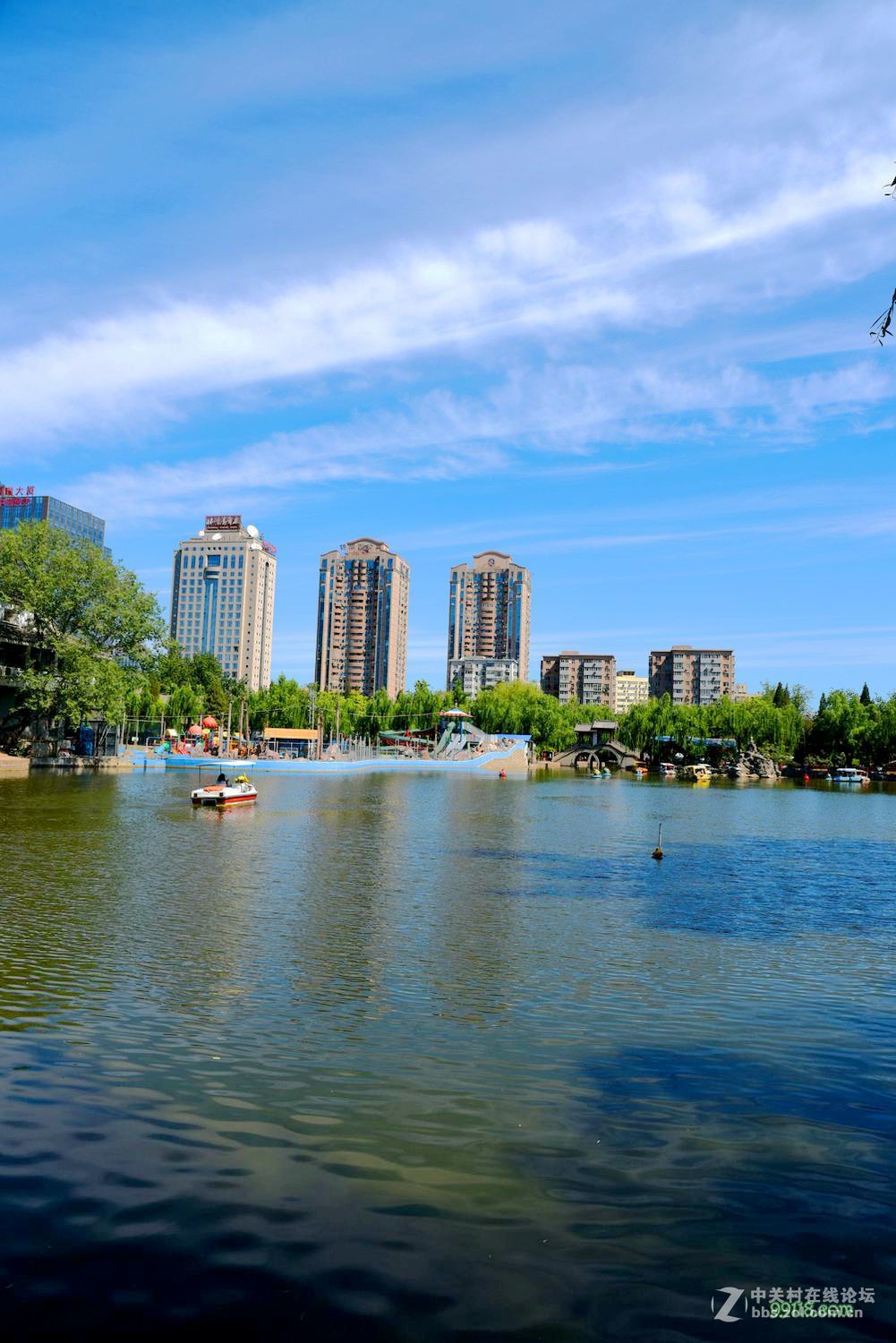 美丽的公园盛景一片