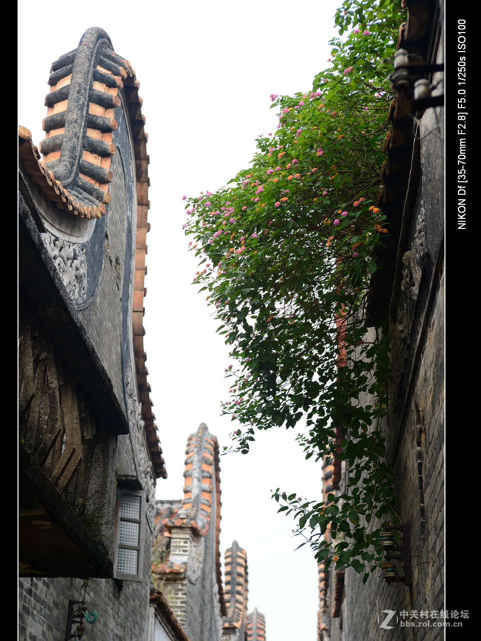 粤韵古村--（大旗头村）。