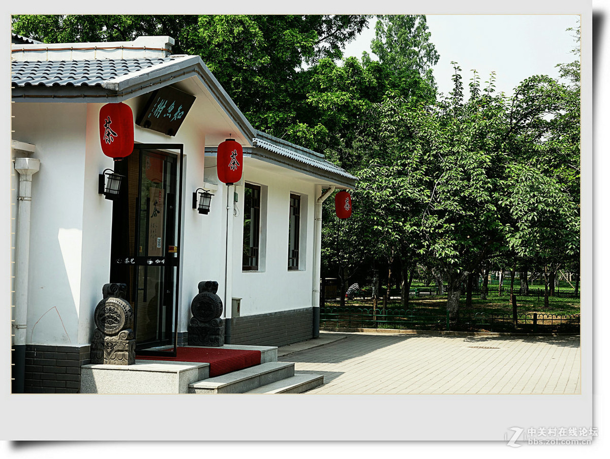 知鱼榭里照莲花