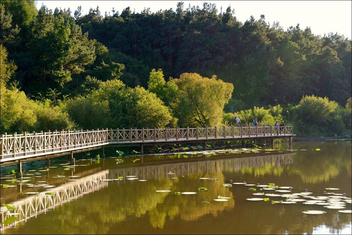 休闲随拍（324）