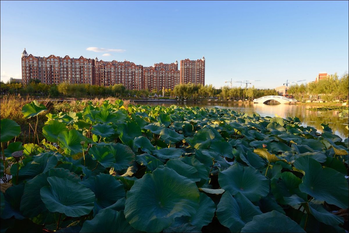 休闲随拍（324）