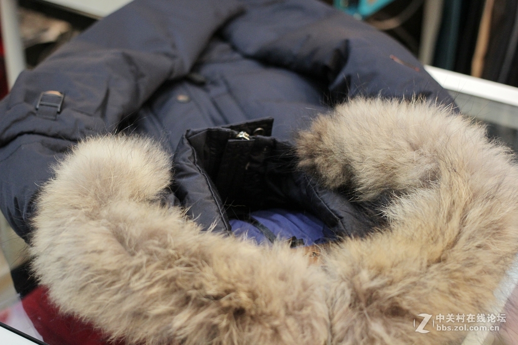 冷光色，高感大光圈下的试镜。