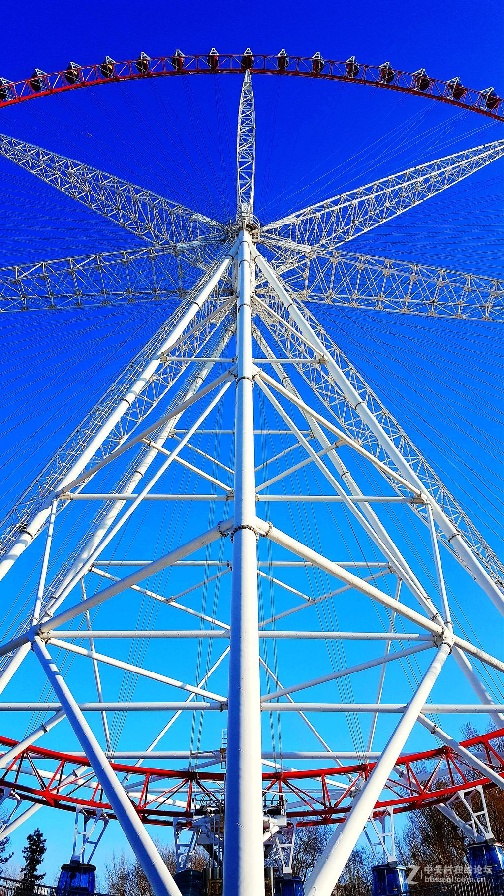 好看难言的黑龙江