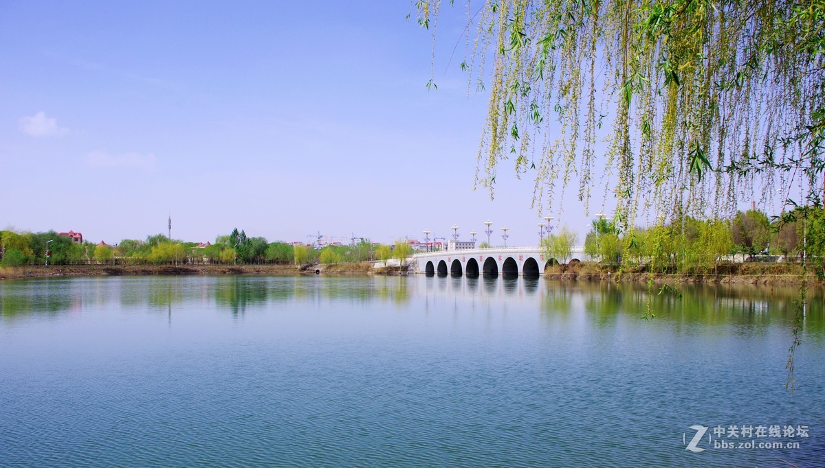 新疆图木舒克市南湖印象-中关村在线摄影论坛