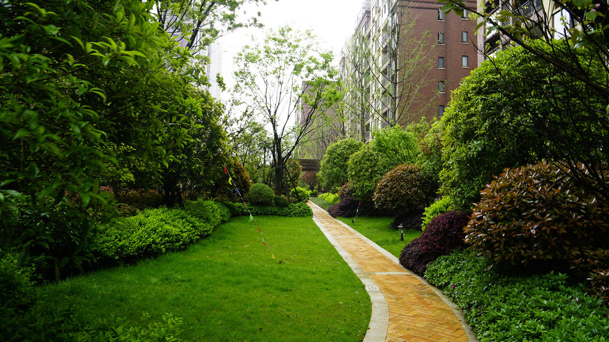 金地意境小区随拍