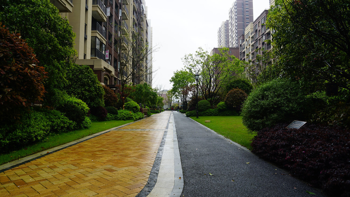 金地意境小区随拍