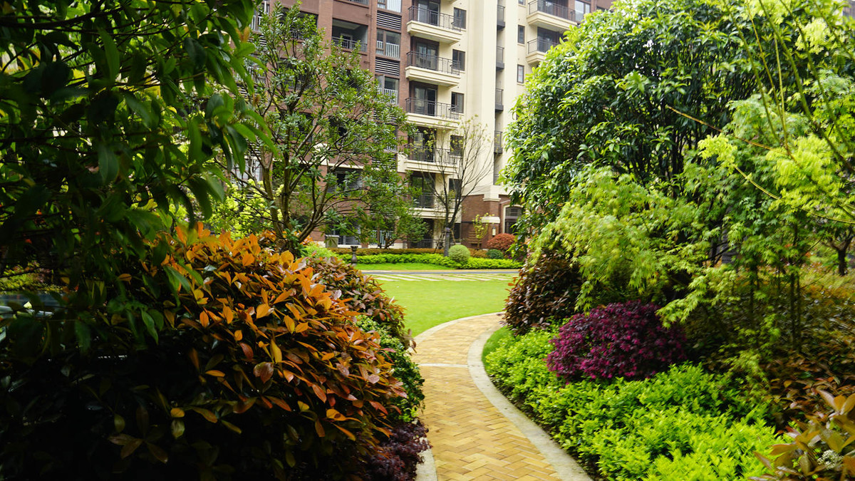 金地意境小区随拍