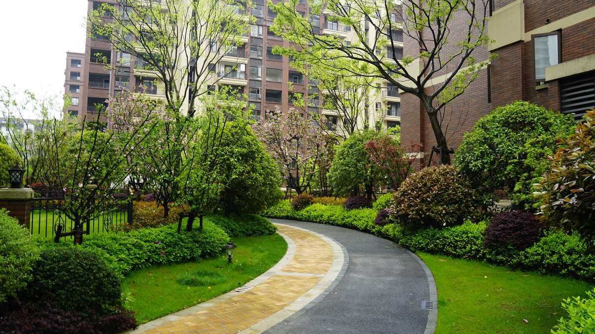 金地意境小区随拍