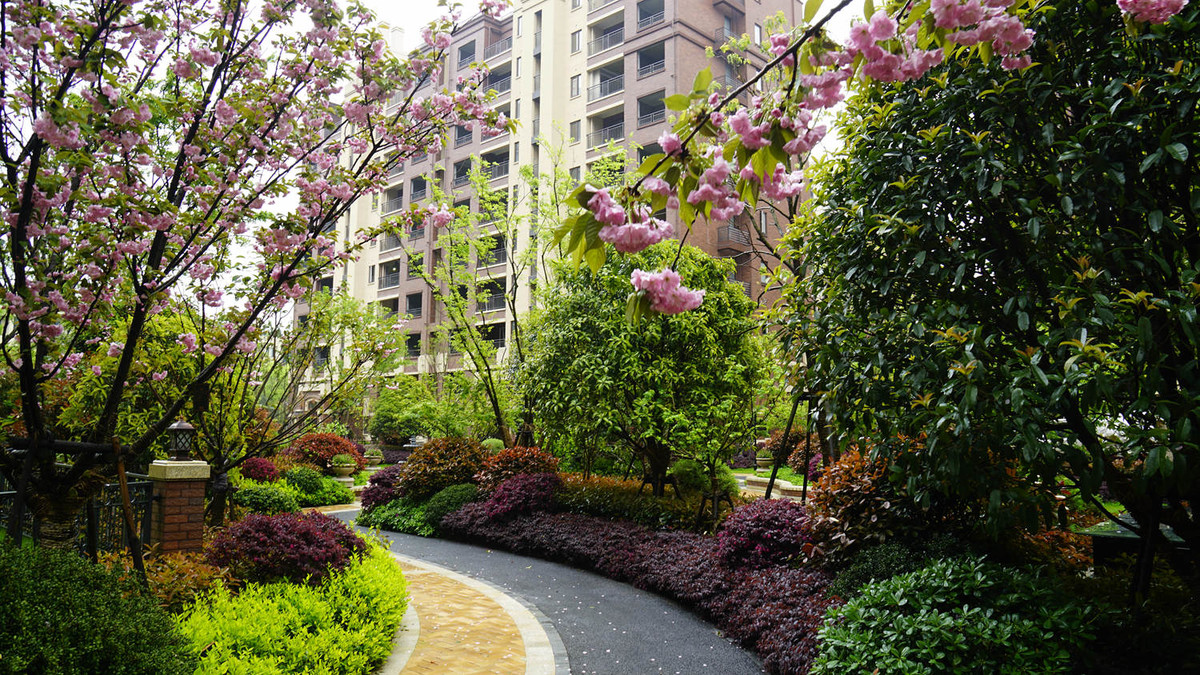 金地意境小区随拍