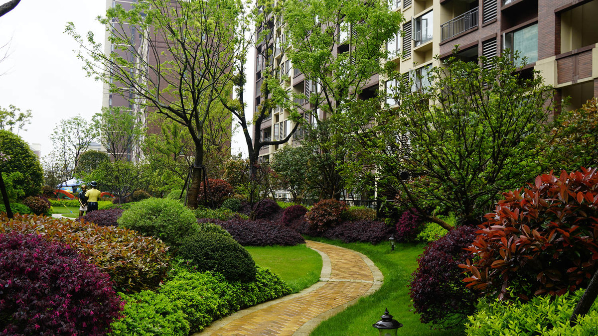 金地意境小区随拍