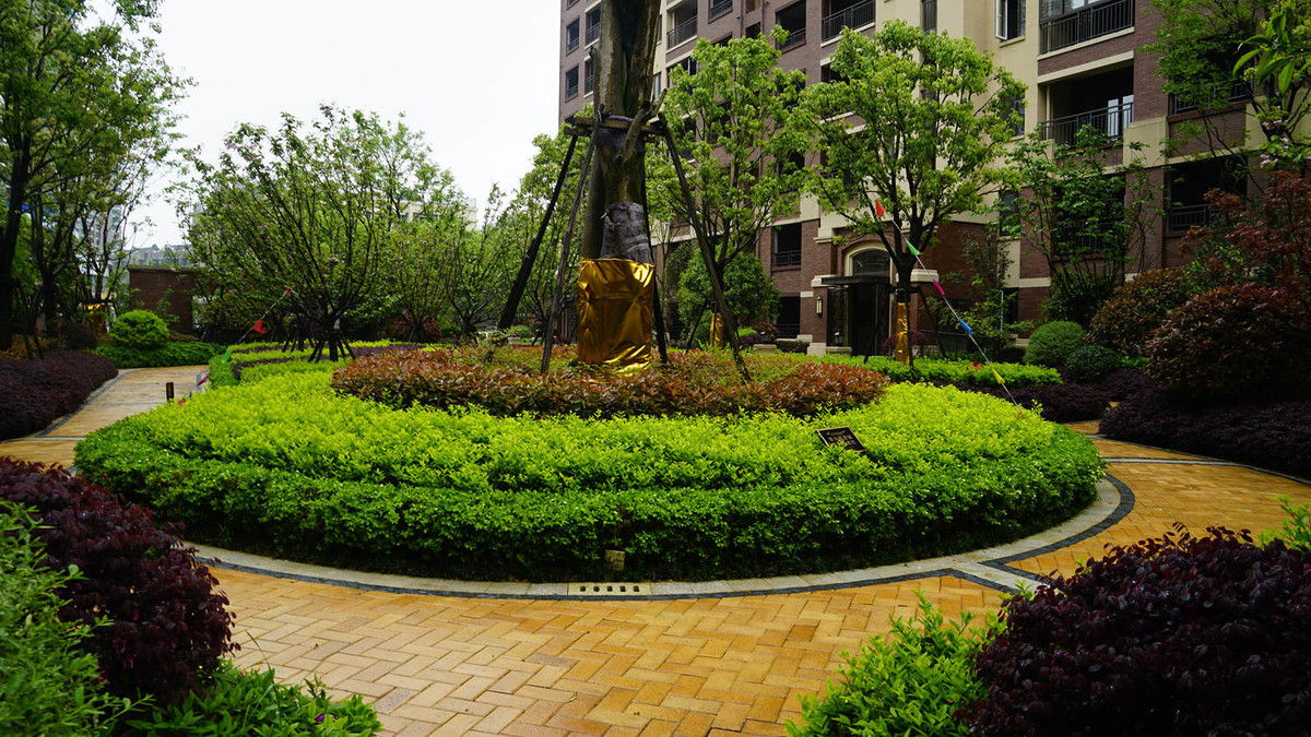 金地意境小区随拍