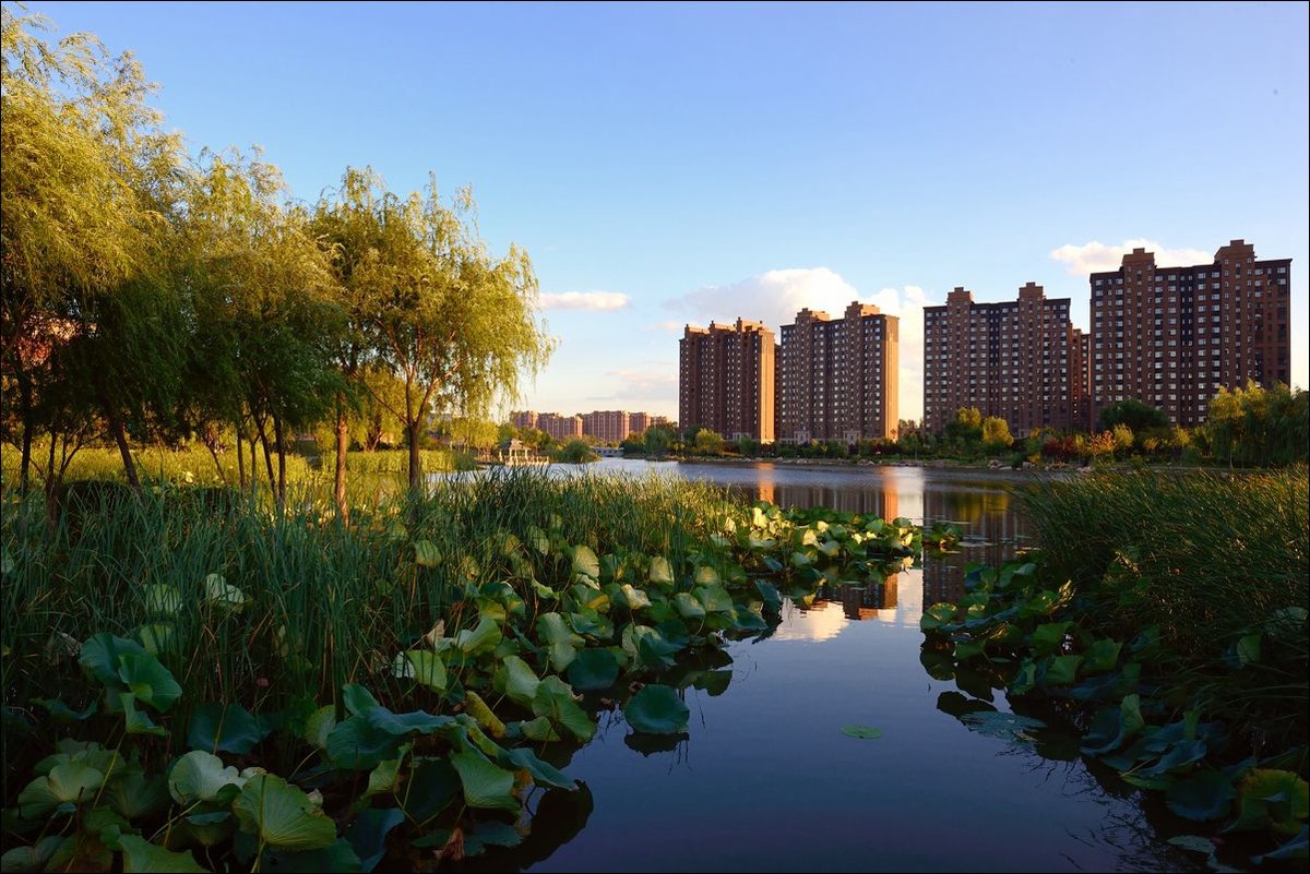 休闲随拍（324）