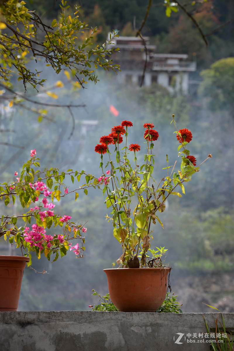 中路藏寨--嘉绒美女等你来