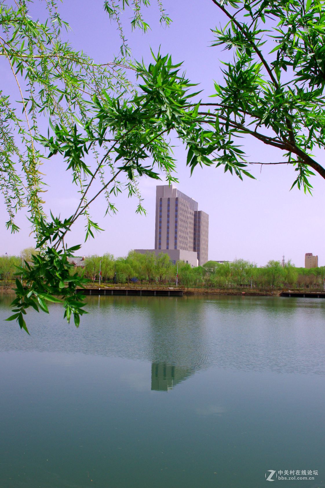新疆图木舒克市南湖印象-中关村在线摄影论坛