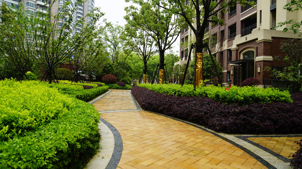 金地意境小区随拍