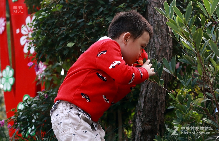 【贝尔欣杯】天使宝贝儿童摄影大赛+父母爱天使宝贝,“则为之计深远”--- 真心成事，