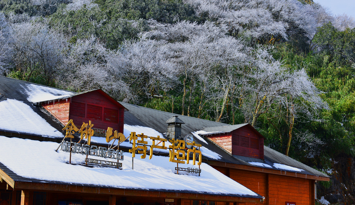 丰年好大雪，珍珠如土金如铁