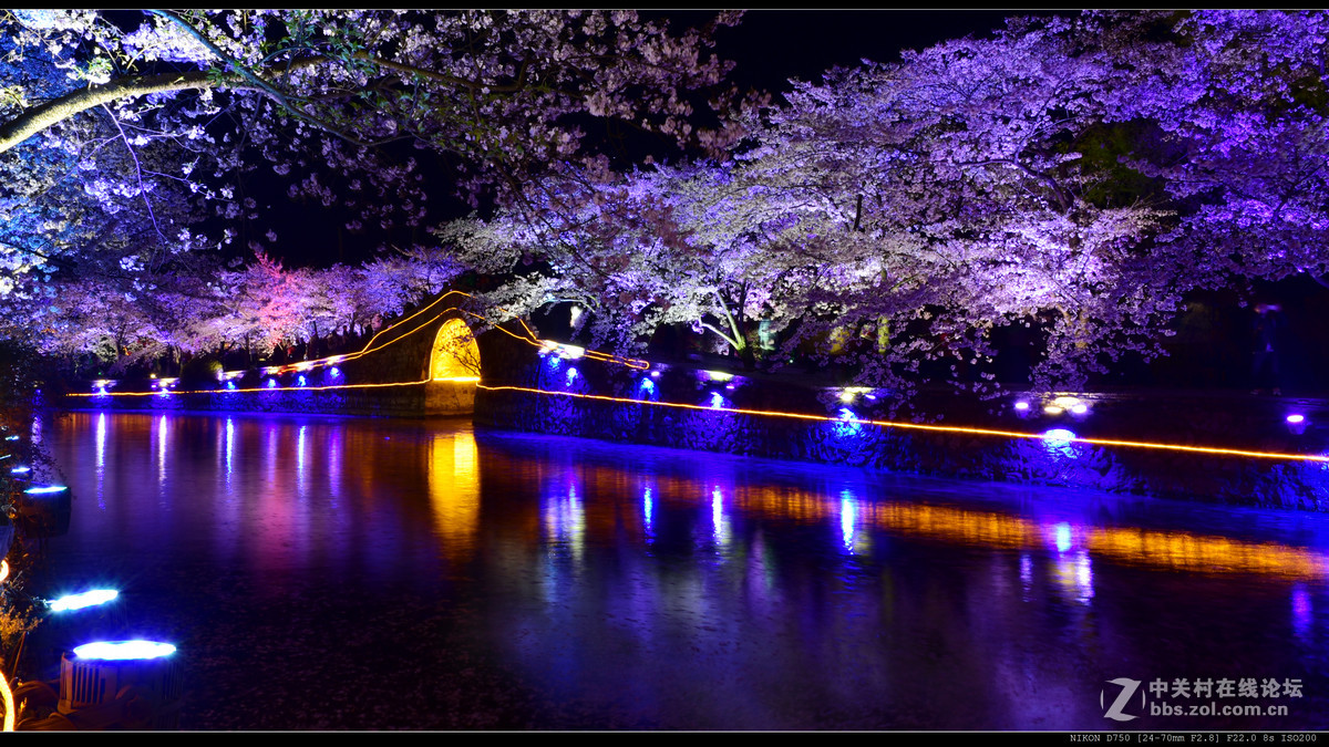 无锡鼋头渚赏夜樱