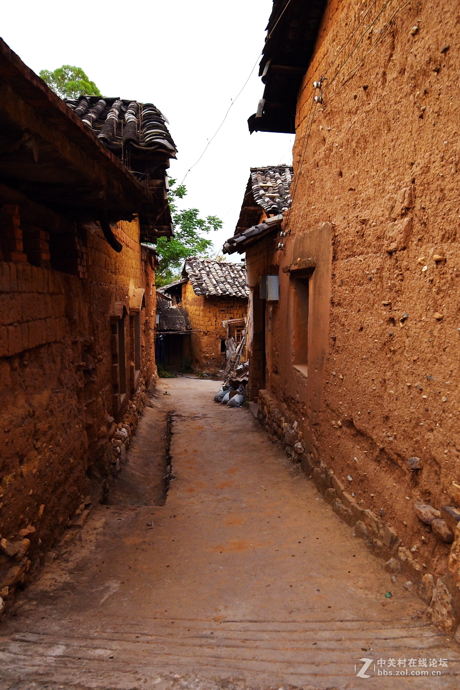 雾里看花 ---- 云南省盘溪镇 游记