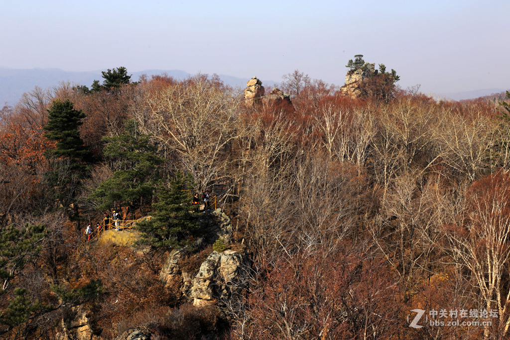 雞冠山之秋