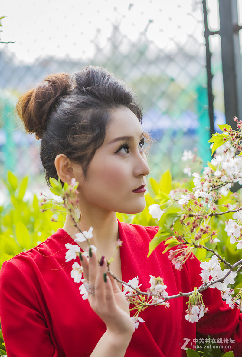 红衣女郎2-中关村在线摄影论坛